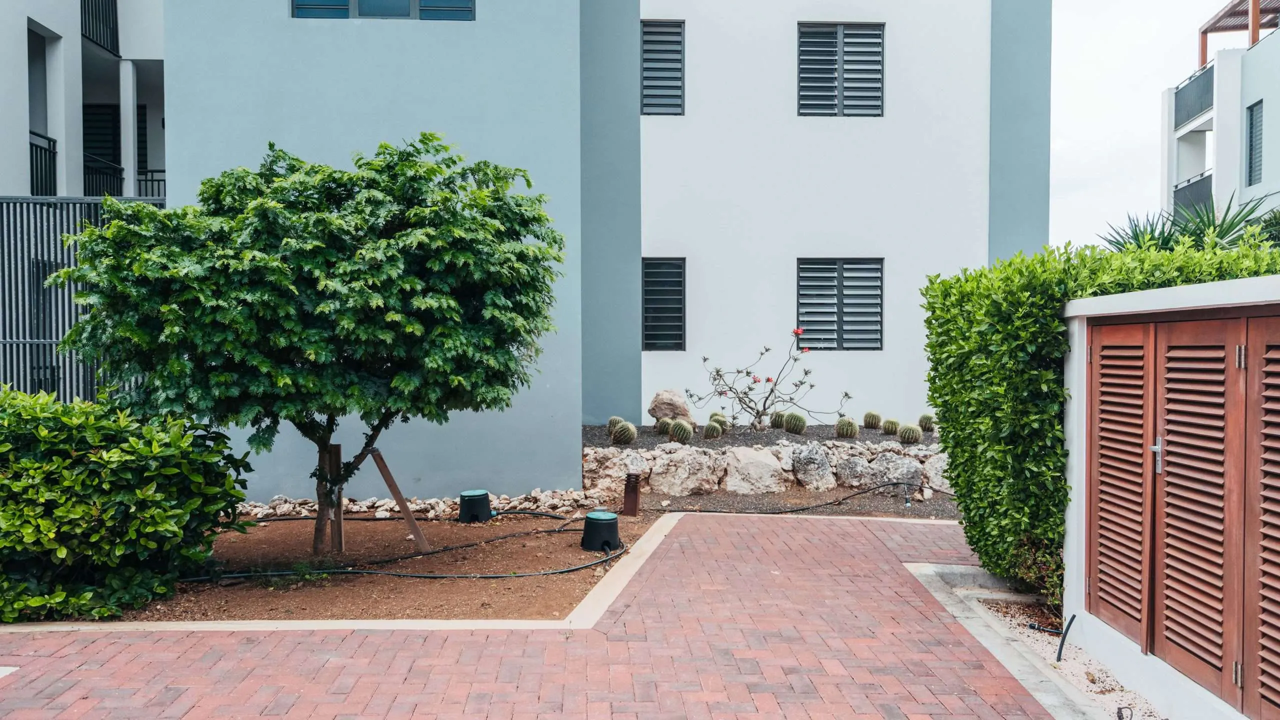 Holland House - Cape Marie 1401